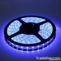 Factory Direct Sales Super Bright LED Strip