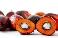 Cooking Oil { Palm Olein }
