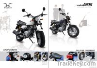 HD125-Mini