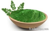 moringa leavs powder and capsules