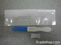 Pregnancy Test Midstream