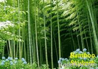 Bamboo leaf extract/plant extract/natural nutrition