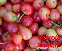 Acerola extract/Natural Vitamin C/fruit extract