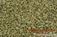 Green coffee bean extract /Chlorogenic acid/botanical extract