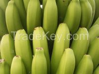 Bananas From China