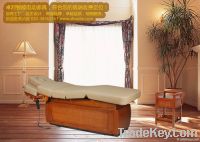 Electric Massage Table with CE and UL (08D04-2)