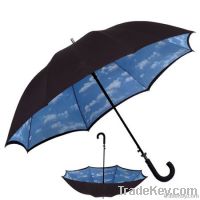 Cloud Umbrella 2012