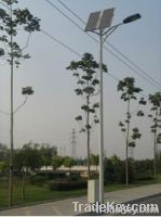 solar street light