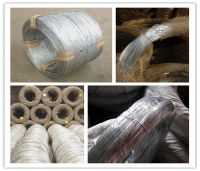 galvanized wire (factory price)