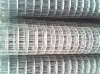 factory galvanized welded wire mesh