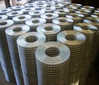 weld wire mesh From China