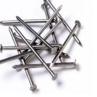 Polished Flat Round Head Common Nails With Good Quality
