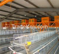 Cuboid Transport Chicken Cage on Promotion