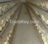 High quality types of layer chicken cages for zimbabwe poultry farms