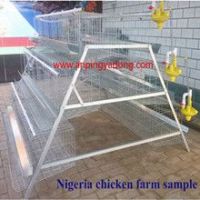 Anping chicken cage , battery cages laying hens,poultry farming equipment (manufacture)
