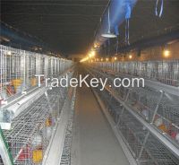 Chicken Cages