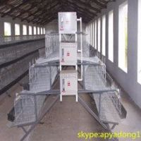 iso9001 high quality poultry battery cage