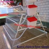 iso2008 high quality poultry battery cage