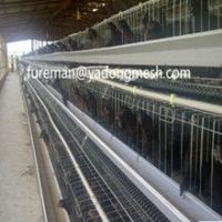 High Quality Automatic Poultry Layer Cages/Design Layer Chicken Cages/Poultry Battery Cages (professional factory)