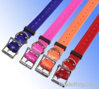 dog head collar