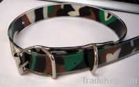 quick release dog collar