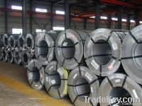 Hot Dip Galvanized Steel Coils