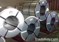 Galvanized steel coil