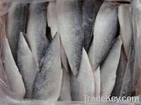 Pacific Mackerel Fillets