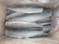 Spanish Mackerel Fillets