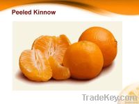 Citrus Fruit Fresh Mandarin (Kinnow)