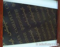 Black Film Faced plywood