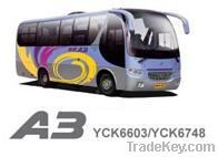 Medium Bus(YCK6603/YCK6748