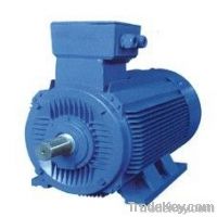 THREE PHASE ELECTRIC MOTOR