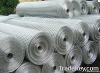 Welded Wire Mesh