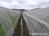 https://cn.tradekey.com/product_view/100-Hdpe-Anti-Insect-Netting-1940854.html