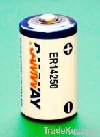 3.6V lithium thionyl chloride battery AAA size ER10450 From China