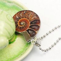 Natural  ammonite...