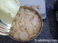 Canned Water Chestnuts