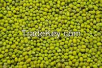 https://cn.tradekey.com/product_view/-acirc-dried-Tanzanian-Black-Pepper-green-Mung-Beans-And-Cashew-Nuts-For-Sale-8354983.html