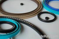 PTFE variseal