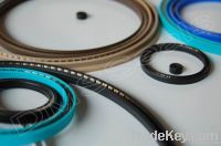 spring energized seal