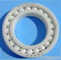 Ceramic bearing