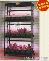 3 Tier Indoor Garden