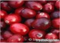 Cranberry Extract