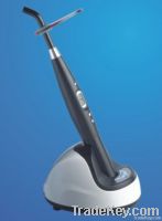 11W big power high quality dental LED curing light, 2400mw/cm2