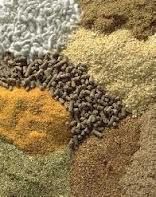 Animal Feed, Chicken Feed | Meat &amp; Bone | Fish Meal | Soybeans Meal | Corn Gluten Meal | Corn Meal 50% Protein