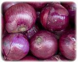 Fresh Red Onion