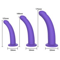 3 In 1 Anal Dildo Kit Strap On anal plug