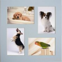Picture Frame
