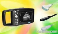Portable Vet Digital B-mode Ultrasonic